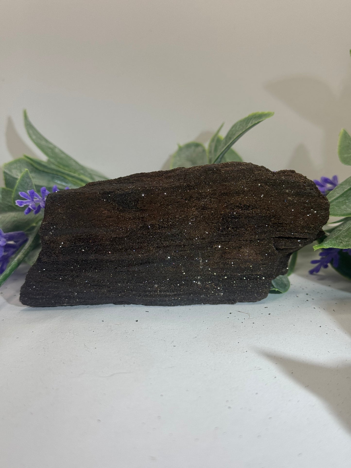 FEENHOLZ versteinertes Holz 20-30€