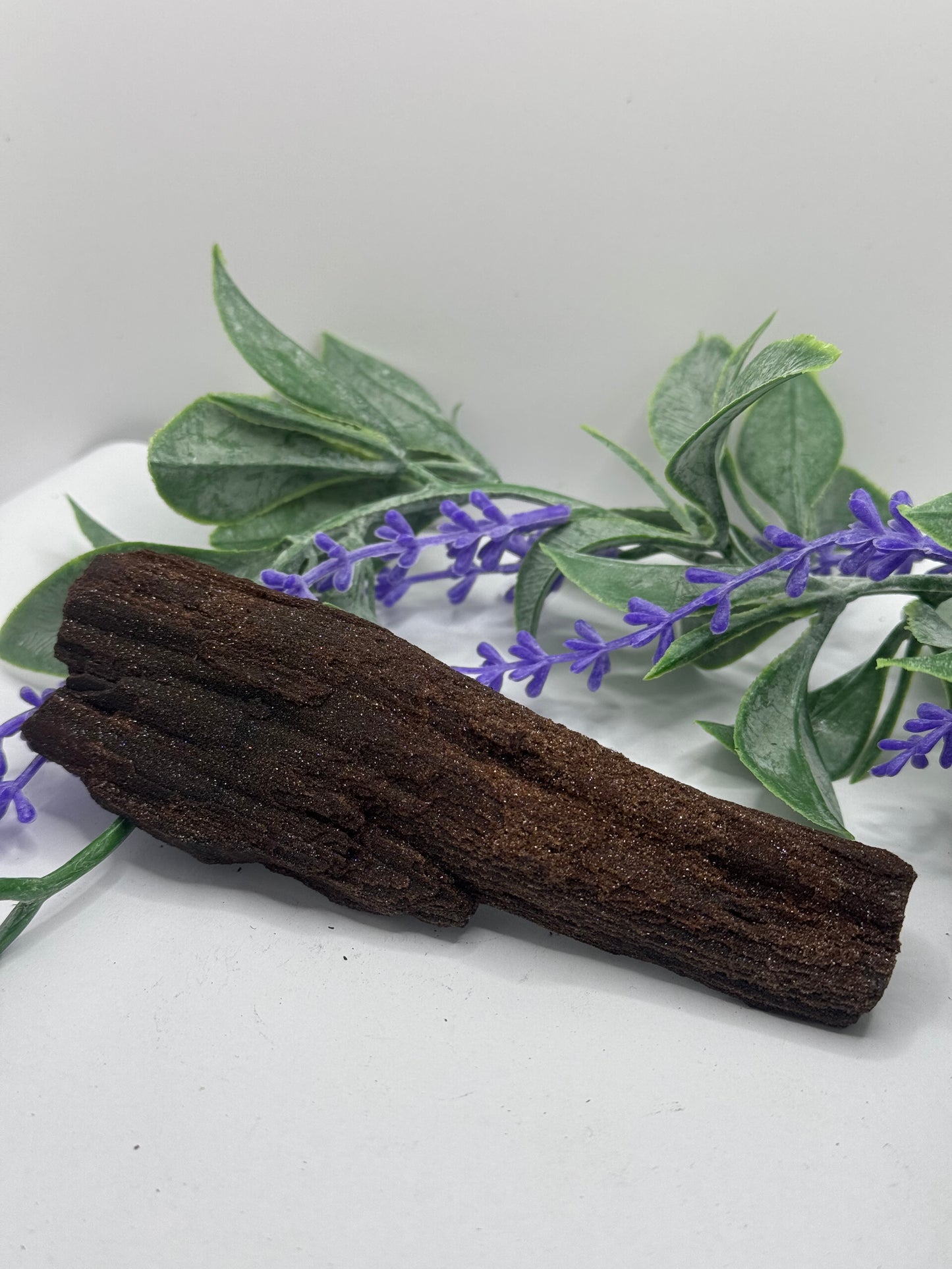 FEENHOLZ versteinertes Holz 10-20€