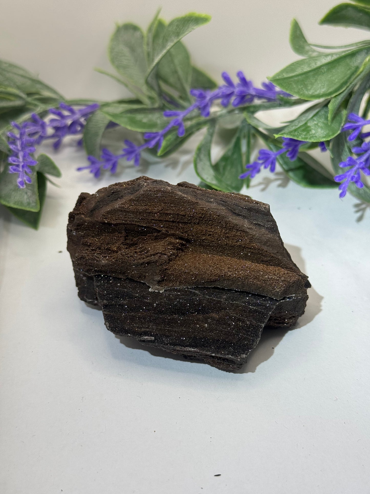 FEENHOLZ versteinertes Holz 10-20€