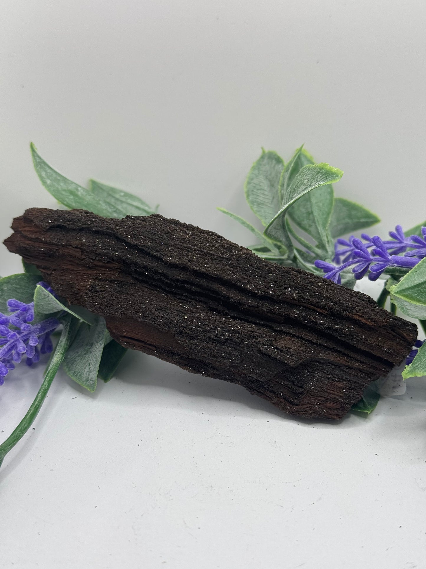 FEENHOLZ versteinertes Holz 10-20€