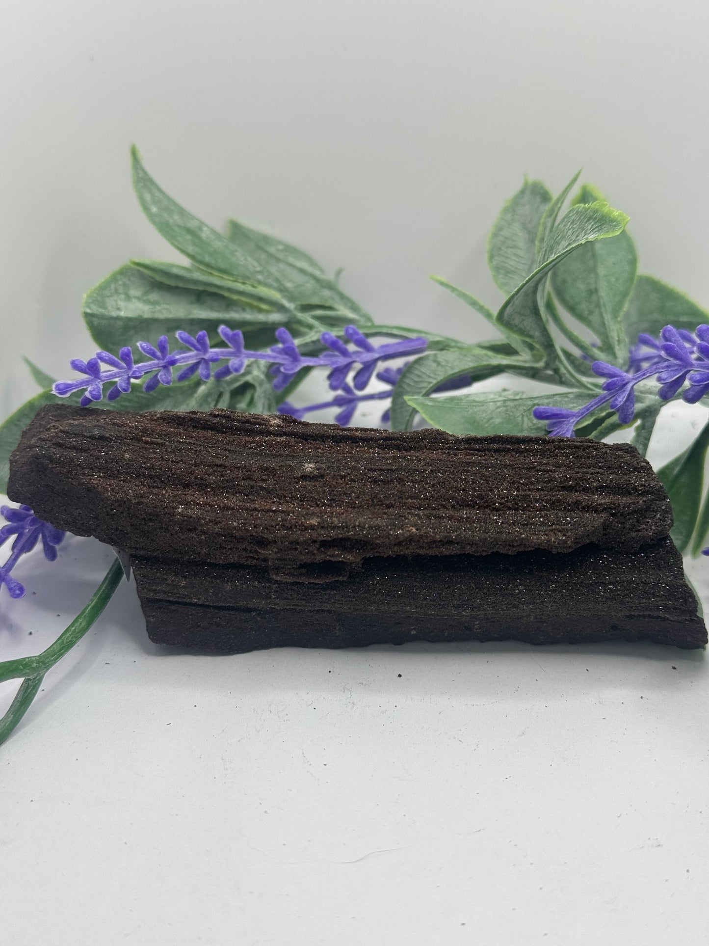 FEENHOLZ versteinertes Holz 20-30€