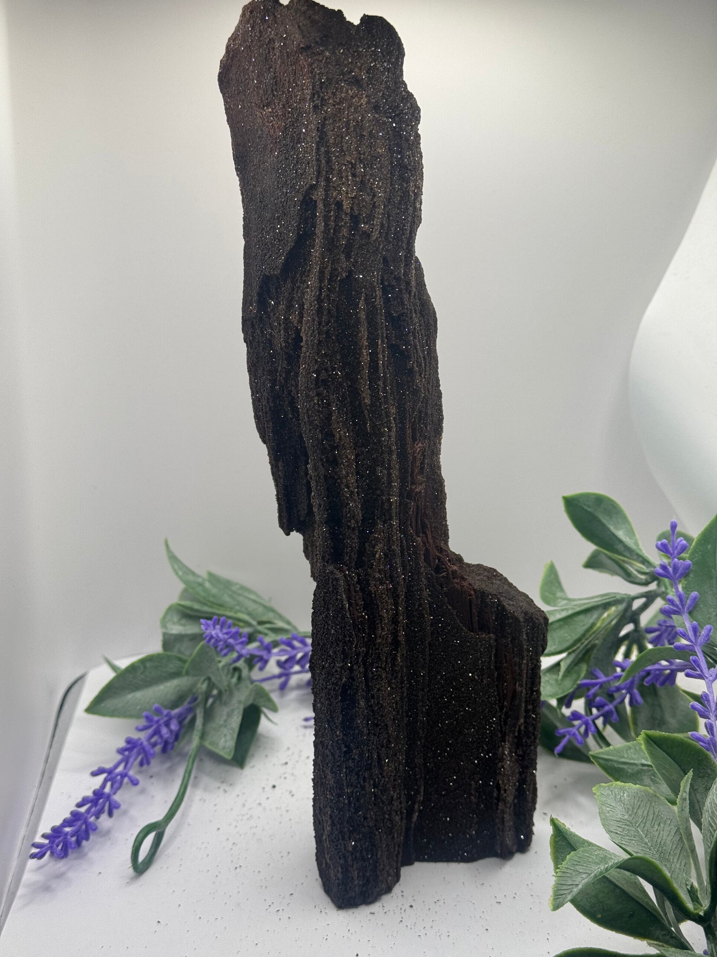 FEENHOLZ versteinertes Holz 40-100€