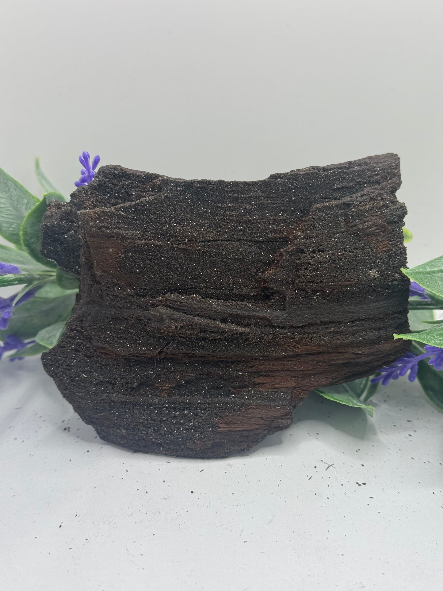 FEENHOLZ versteinertes Holz 30-40€