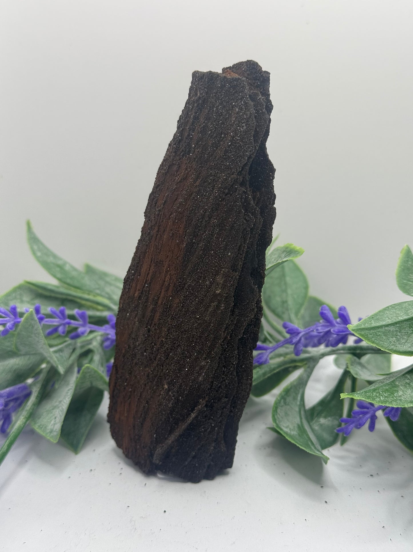 FEENHOLZ versteinertes Holz 20-30€