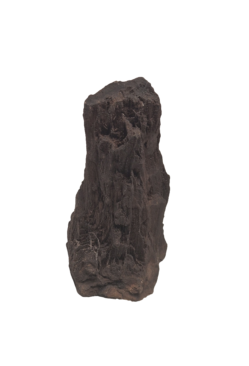 FEENHOLZ versteinertes Holz 100-200€