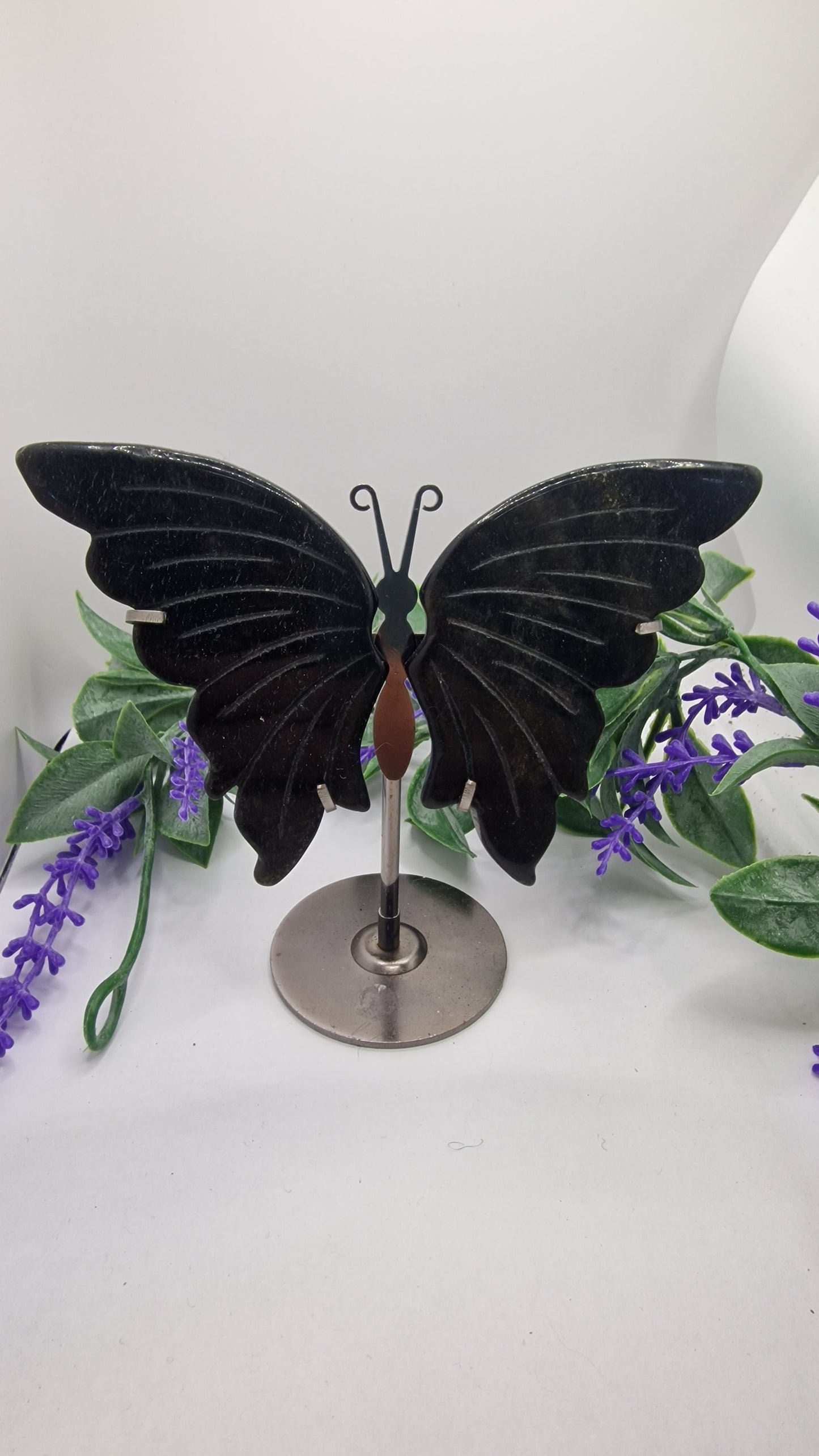 Obsidian 💫gold✨️ Schmetterlingsflügel