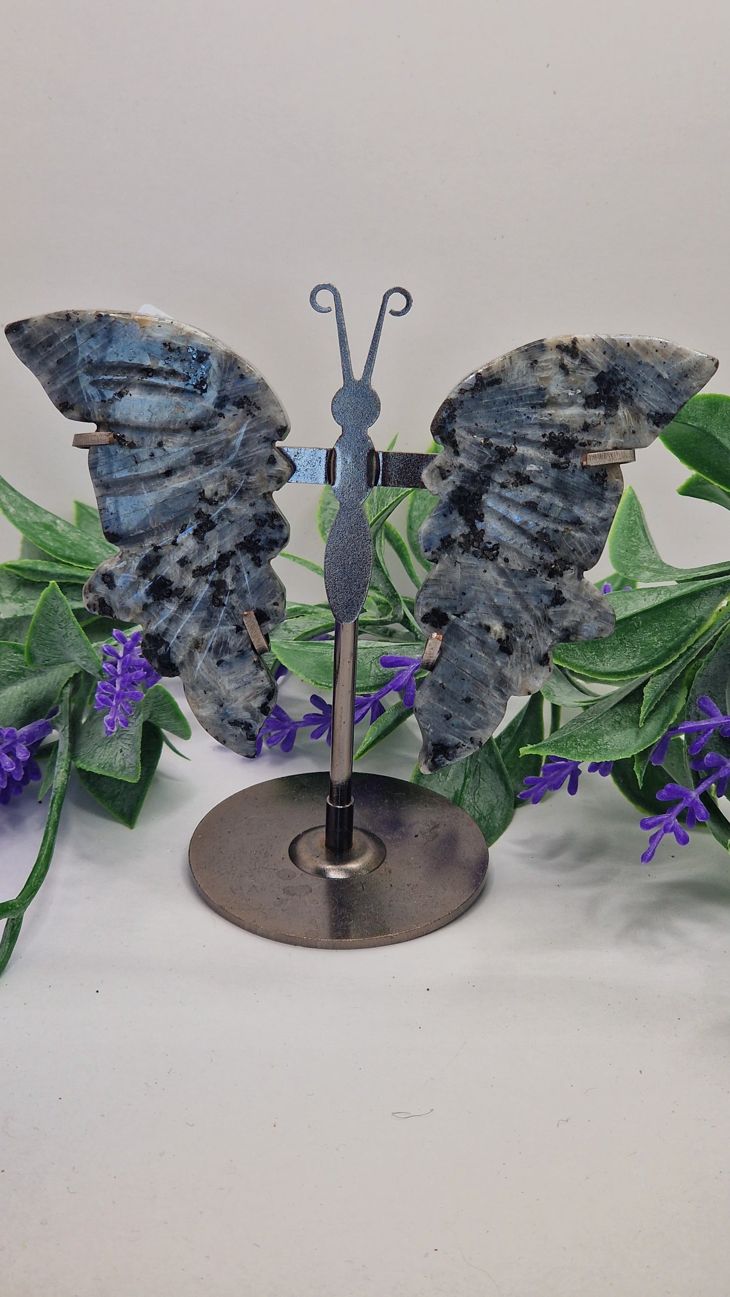 Lavikit🫶 Schmetterlingsflügel