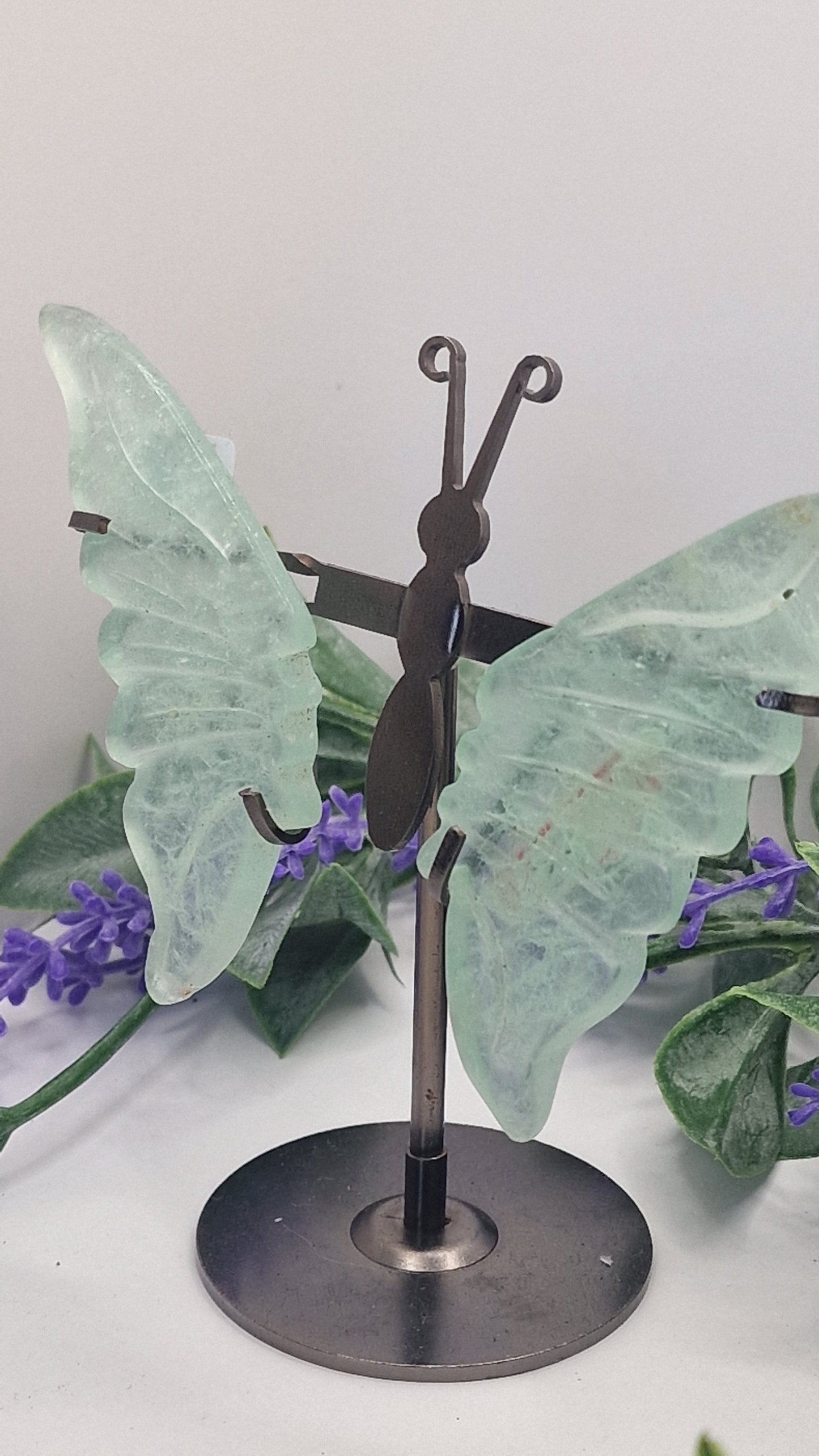 Flourit 💫 Schmetterlingsflügel