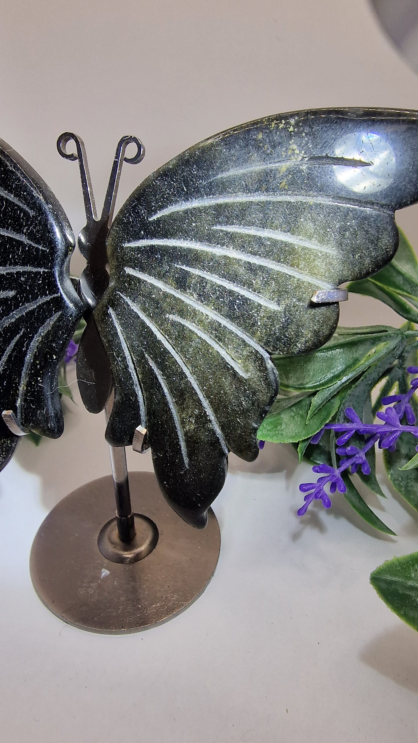 Obsidian 💫gold✨️ Schmetterlingsflügel