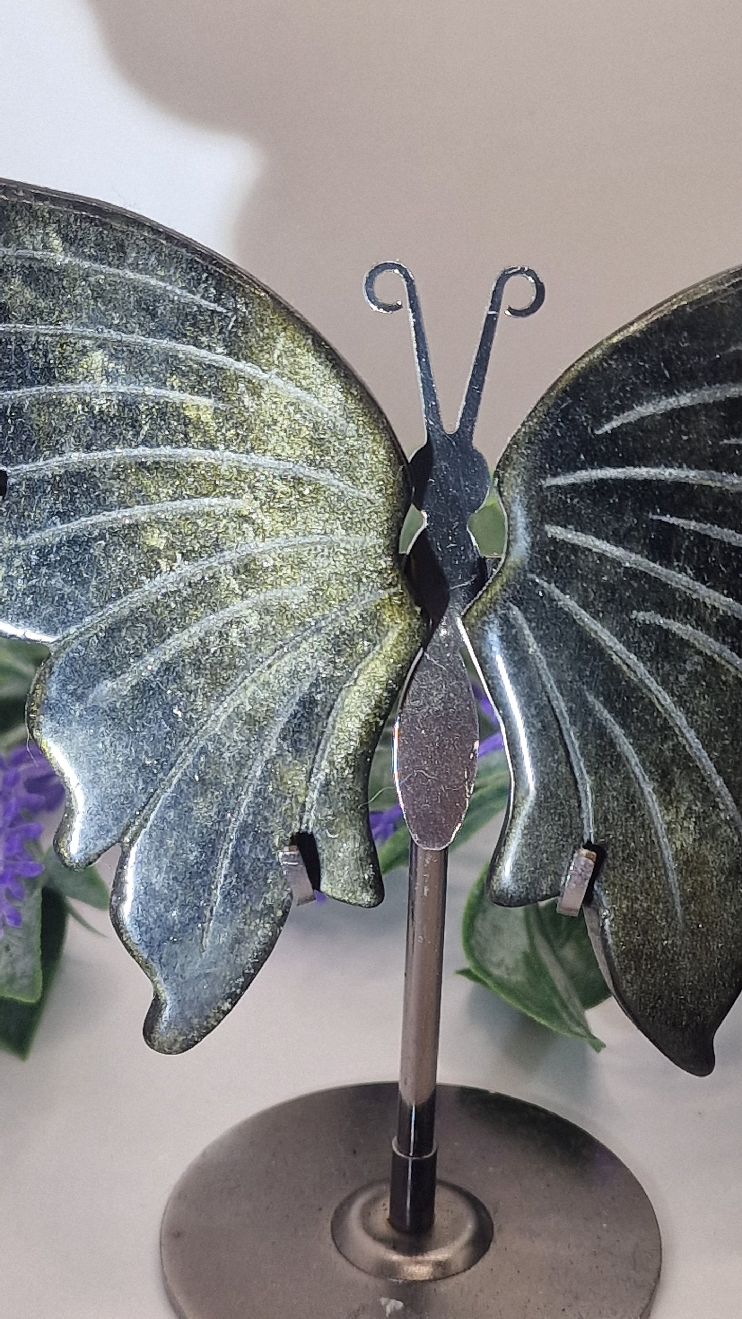 Obsidian 💫gold✨️ Schmetterlingsflügel