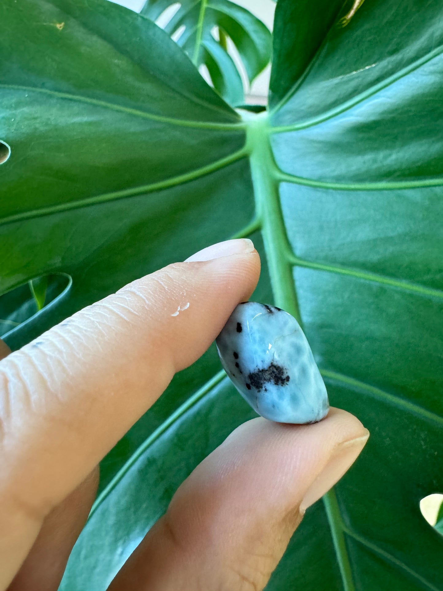 Larimar Trommelsteine Atlantisstein