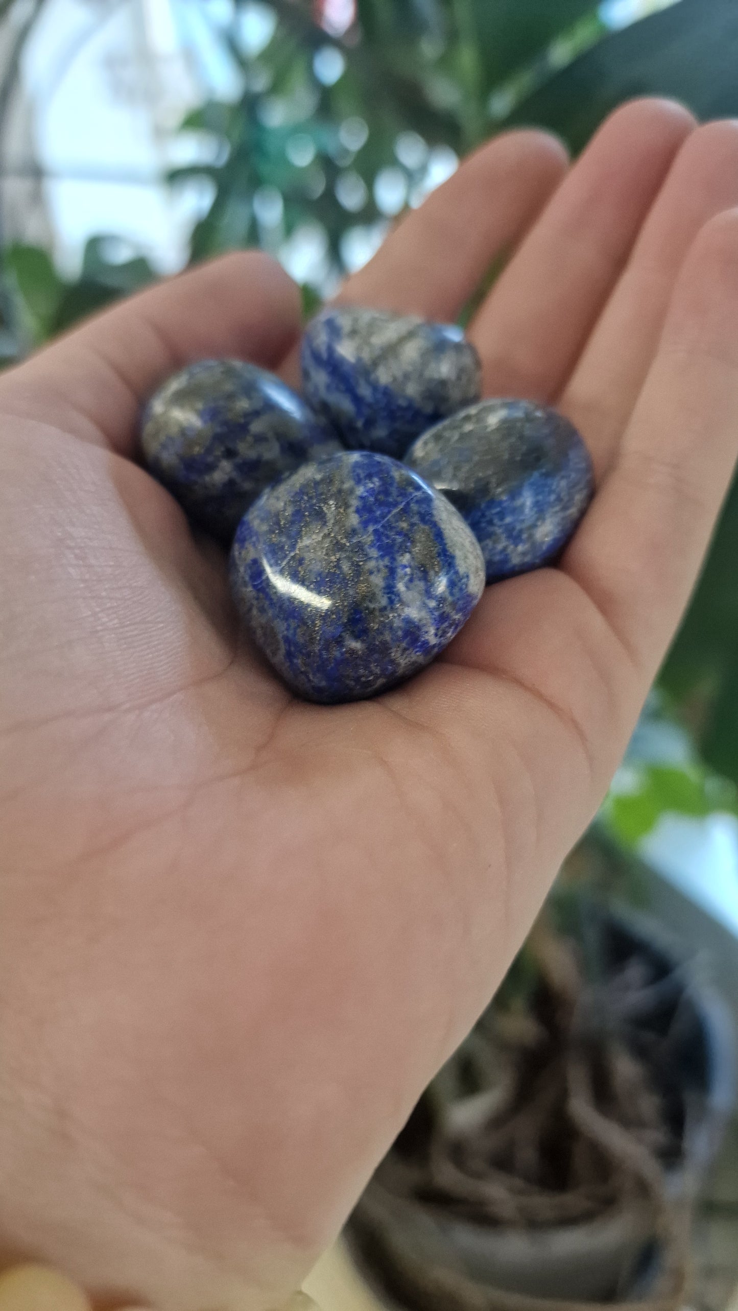 Lapislazuli Trommelsteine