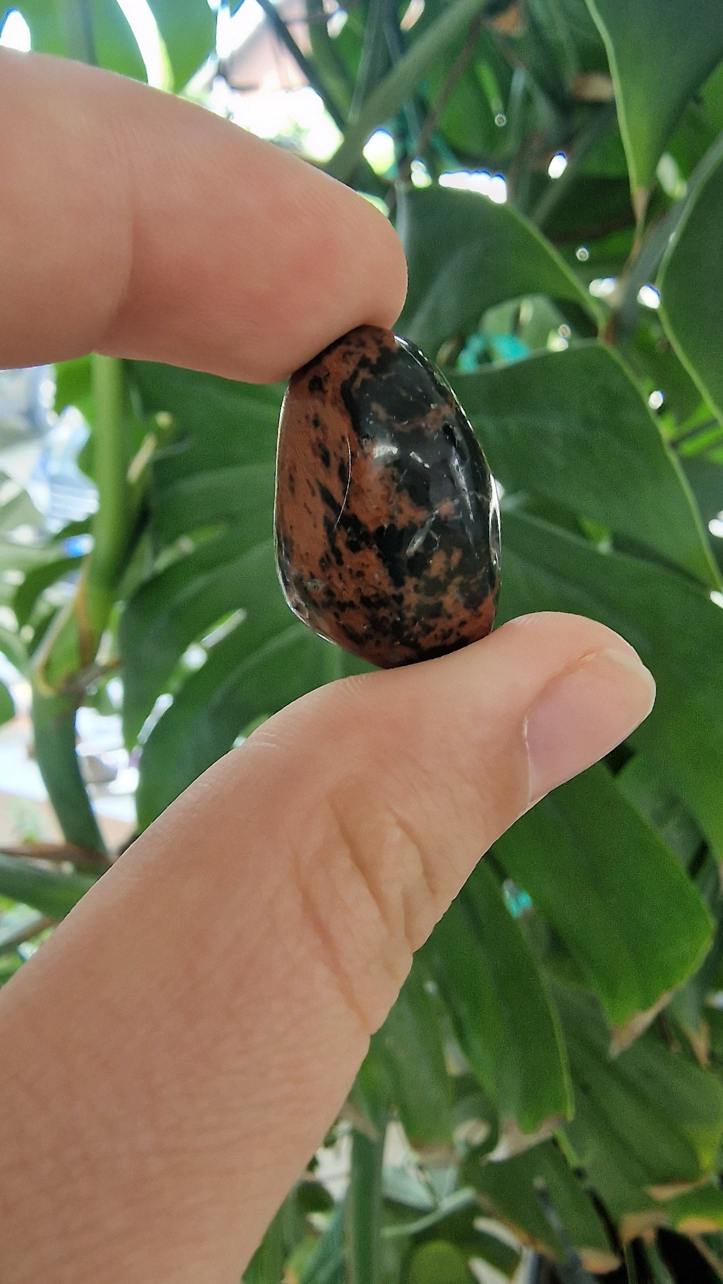 Mahagoni Obsidian