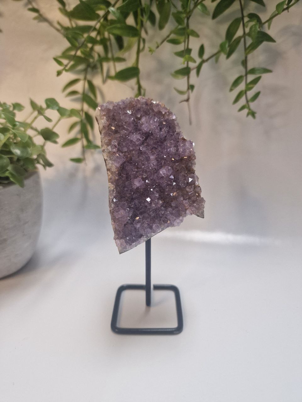 Amethyst Geode auf Ständer